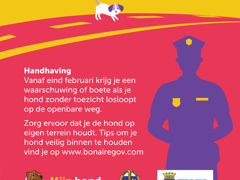 Koop geen kortsnuitige honden', waarschuwen dierenartsen Koop geen kortsnuitige honden', waarschuwen dierenartsen