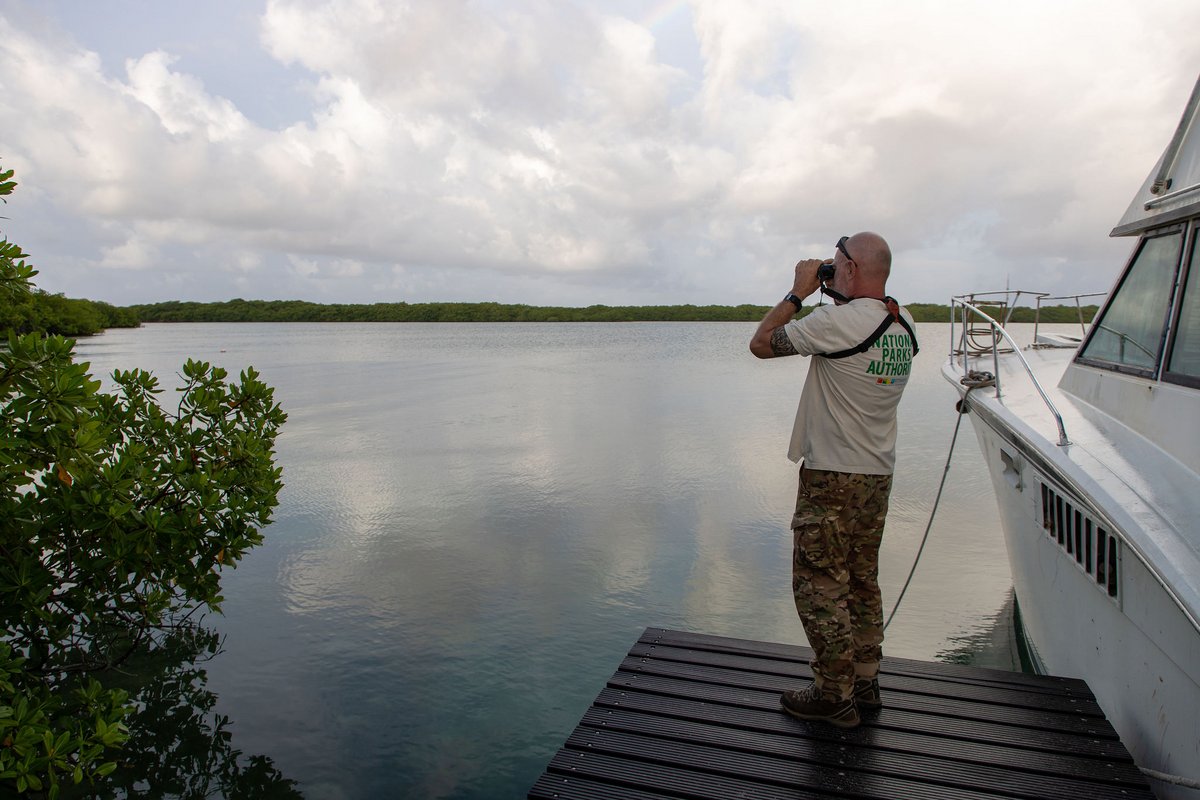 Openbaar Lichaam Bonaire: STINAPA zet zoektocht naar reptiel voort in ...