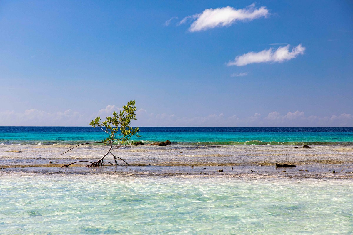 Openbaar Lichaam Bonaire: Huntu na kaminda pa awa limpi pa tur hende