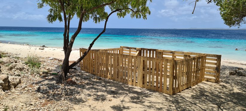 bodem Bij zonsopgang Afgeschaft Openbaar Lichaam Bonaire: Kamperen op het strand en in de natuur weer  toegestaan tijdens de Paasdagen